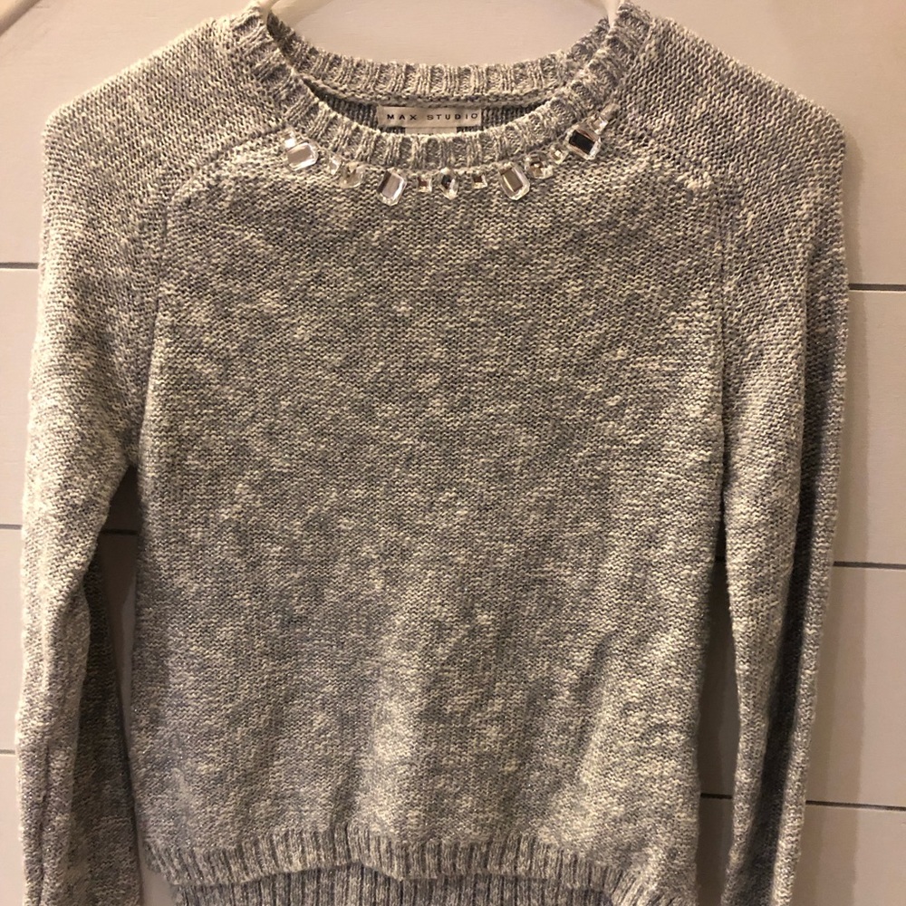 Max Studio Brand Sweater